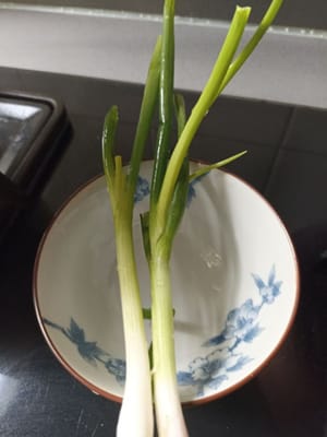 batang daun bawang