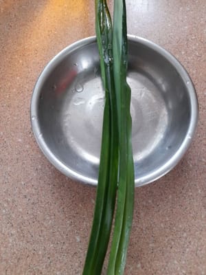 香蘭葉