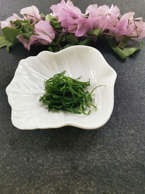 파 줄기