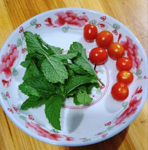 Houttuynia cordata, 10 g