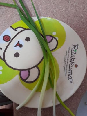 finely slice the spring onion stalks
