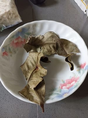 morceaux de feuilles de laurier