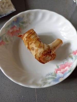galanga
