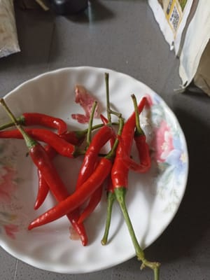 Un peu de piment rouge