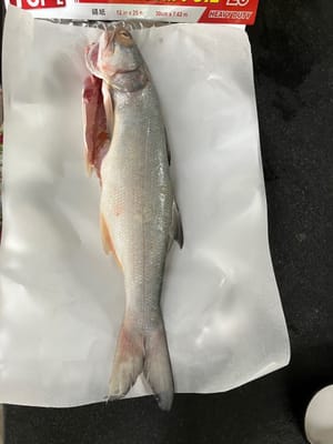 Mantenga las escamas del pescado, lávelo con agua corriente, escúrralo y luego séquelo con papel de cocina.