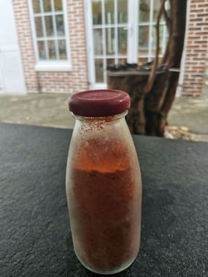 乾燥チリパウダー