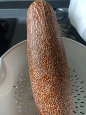 老黄瓜籽 600克