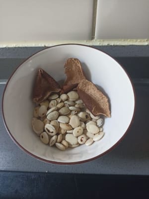 白色卡拉籽和3片干橙皮