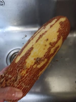 Wir werfen die Schale der Gurke einfach weg
