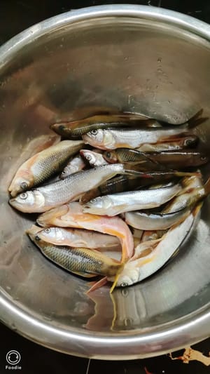 400 g di pesce fresco di fiume
