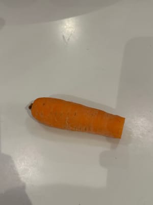 胡萝卜（切碎）