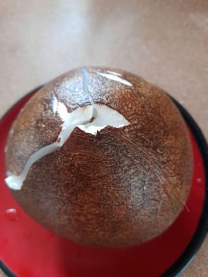 gr de noix de coco râpée
