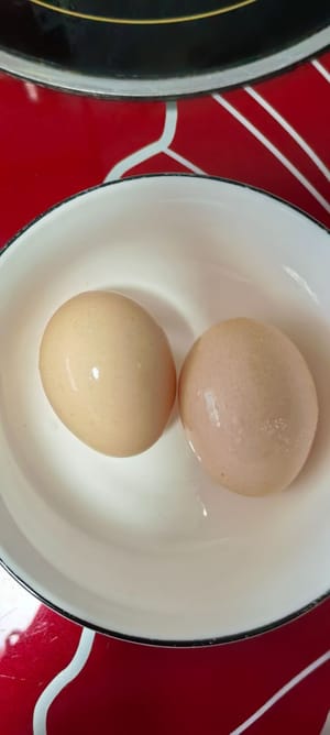 鸡蛋两个只需要蛋黄