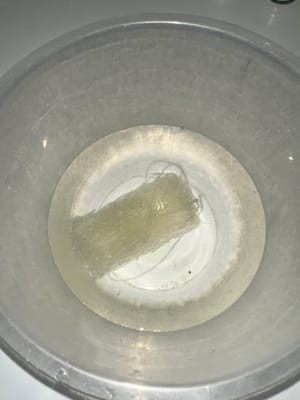 春雨を柔らかくなるまで浸す