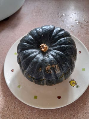 Quindi richiudere la zucca.