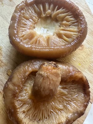 Die eingeweichten Shiitake-Pilze halbieren und in kleine Stücke schneiden.