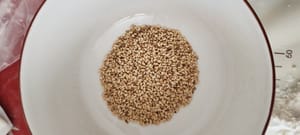 Biji wijen yang dimasak
