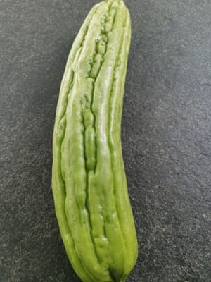 gambo di melone amaro
