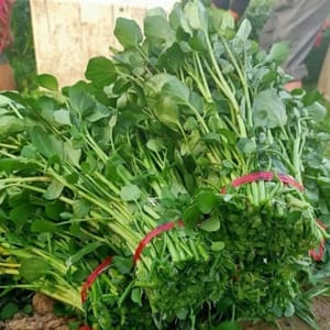 1000g selada air