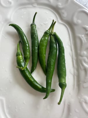 พริกเขียวเม็ดเล็ก