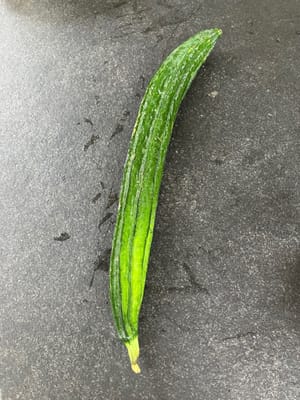 Luffa