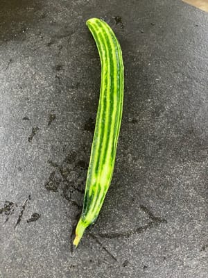 Luffa peeled (would be more crunchy to keep more green)