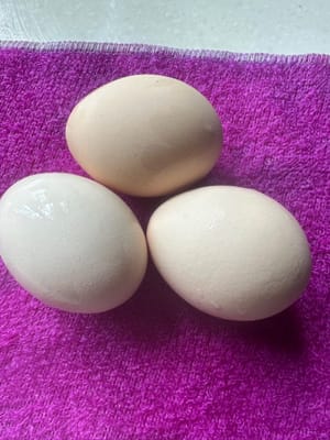 three eggs.