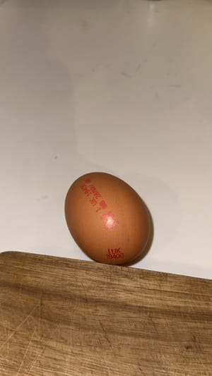 鸡蛋