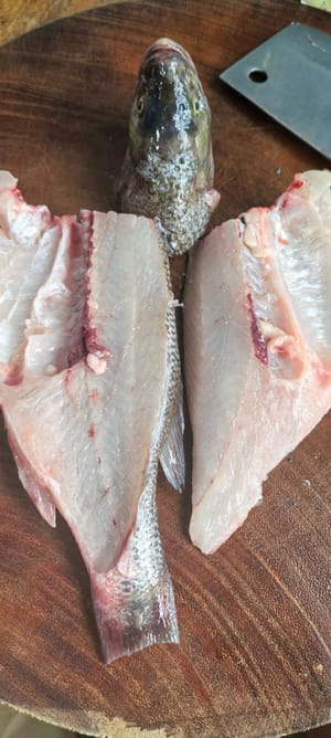 หลังจากทำความสะอาดปลากะพงที่เตรียมไว้แล้ว ให้ผ่าครึ่งตัว เอาหัวออก แล้วหั่นหัวและลำตัวเป็นชิ้นยาวๆ