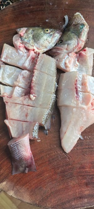 หลังจากทำความสะอาดปลากะพงที่เตรียมไว้แล้ว ให้ผ่าครึ่งตัว เอาหัวออก แล้วหั่นหัวและลำตัวเป็นชิ้นยาวๆ