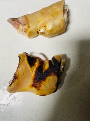 El primer paso para preparar las manitas de cerdo es quemar el pelo y limpiarlas. Al comprar manitas de cerdo, ¡pídale al vendedor que queme el pelo de la piel! Este paso es fundamental; no solo elimina el olor a pescado, sino que también deja la piel más suave y tierna después de estofarla. Una vez en casa, lave bien las manitas de cerdo por dentro y por fuera con agua limpia y prepárelas para escaldarlas.