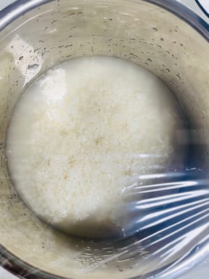 Tutup dengan plastik pembungkus dan fermentasikan dalam suhu konstan 30 derajat selama 48 jam. Airnya banyak saat ini, tetapi tidak masalah, air akan diserap oleh beras ketan setelah 10 menit. Fermentasi pada suhu konstan sekitar 30 derajat dapat memastikan kualitasnya~~