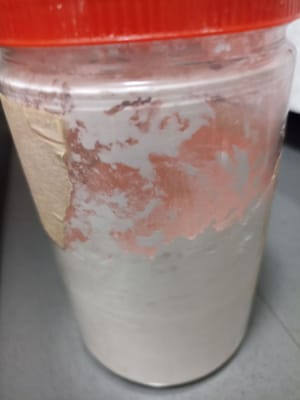 玉米粉