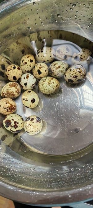出锅制冷好剥壳。