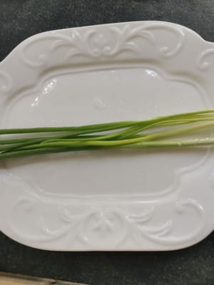 Frühlingszwiebelblätter