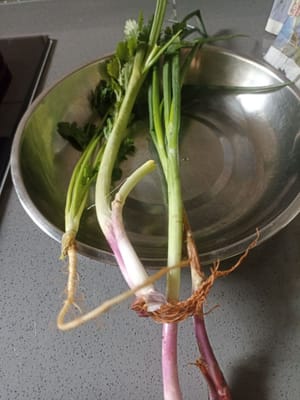 batang daun ketumbar dan 2batang daun bawang