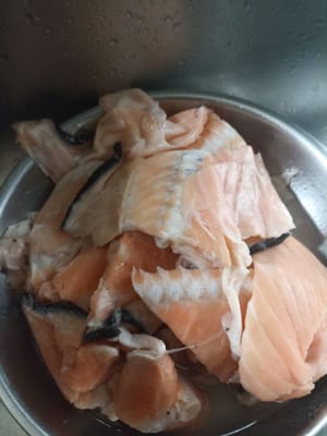  Salmon back bones 