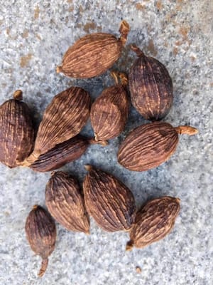 Amomum villosum