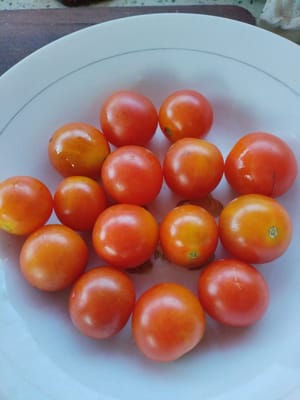 Wash the cherry tomatoes and place them on a plate for later use.