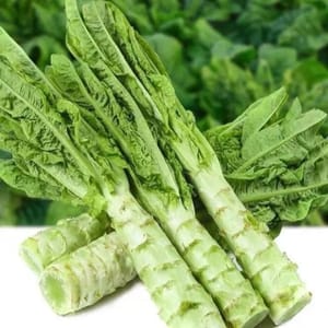 1 lechuga de apio, unos 1000 g