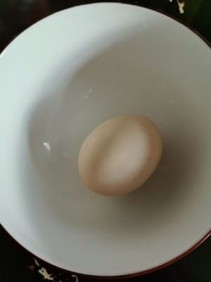 土鸡蛋一个