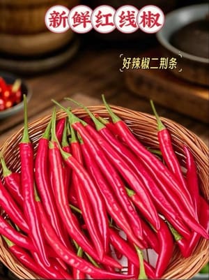 1 rote Erjingtiao-Paprika
