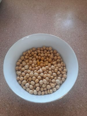 semi di soia