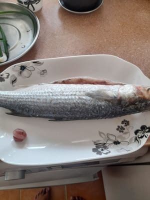用盐腌制
