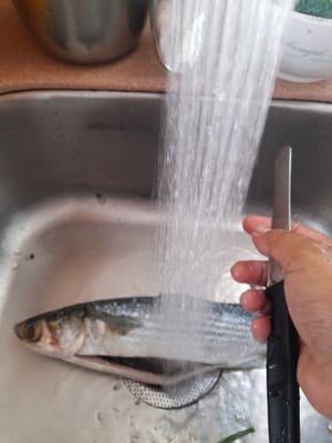彻底清洗并去除鳞片