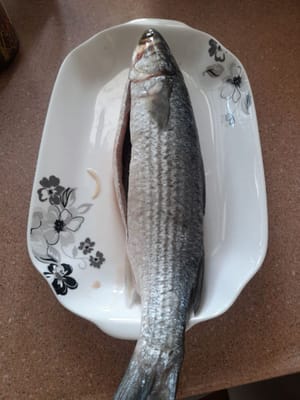 鲻鱼