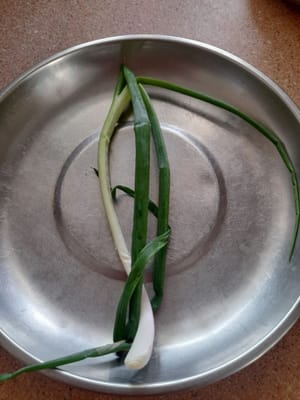 葱秆