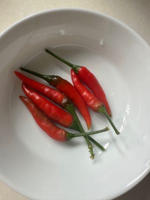 小辣椒切斜刀备用，