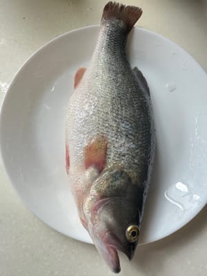 鲈鱼一条。