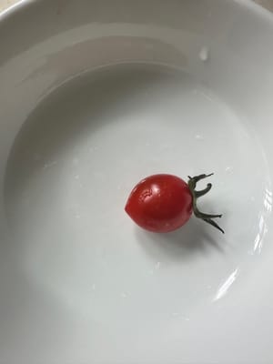 小辣椒6颗，小番茄一个。